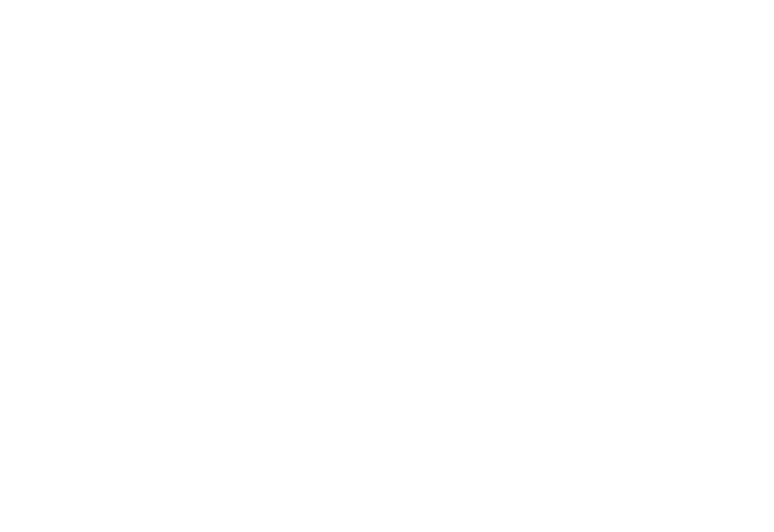 Lauren Craig